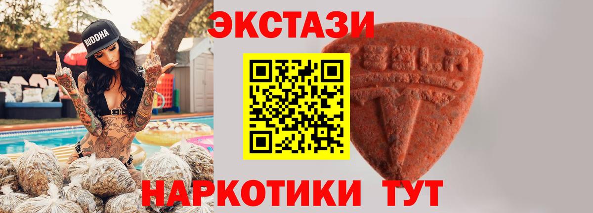 Ecstasy бентли Сальск