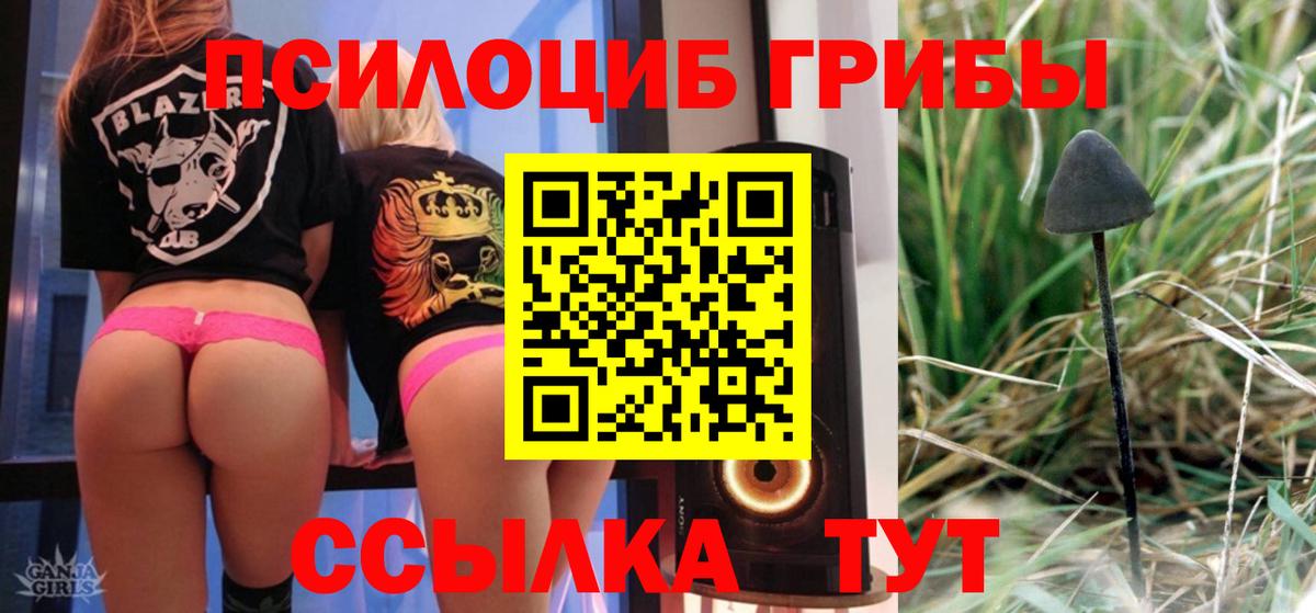 Псилоцибиновые грибы Psilocybe  как найти закладки  Галлюциногенные грибы мицелий  Сальск  Вход с VPN 